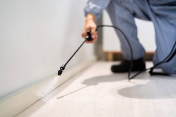 Licensed Termite Control service in Dundee, MI - Nex Pest Control