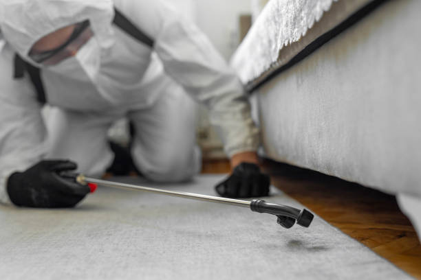 Professional Termite Control technician working in Dundee, MI