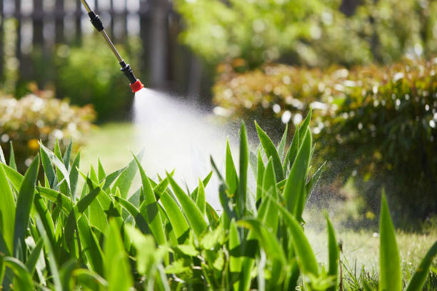 24/7 Emergency Termite Control experts in Dundee, MI