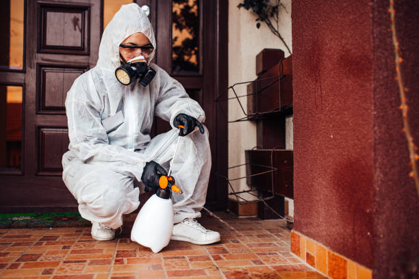 Reliable Termite Control contractor in Dundee, MI by Nex Pest Control