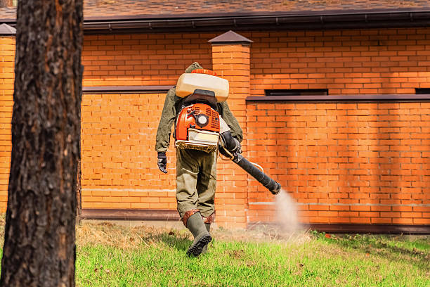 Top rated local Termite Control specialists in Dundee, MI
